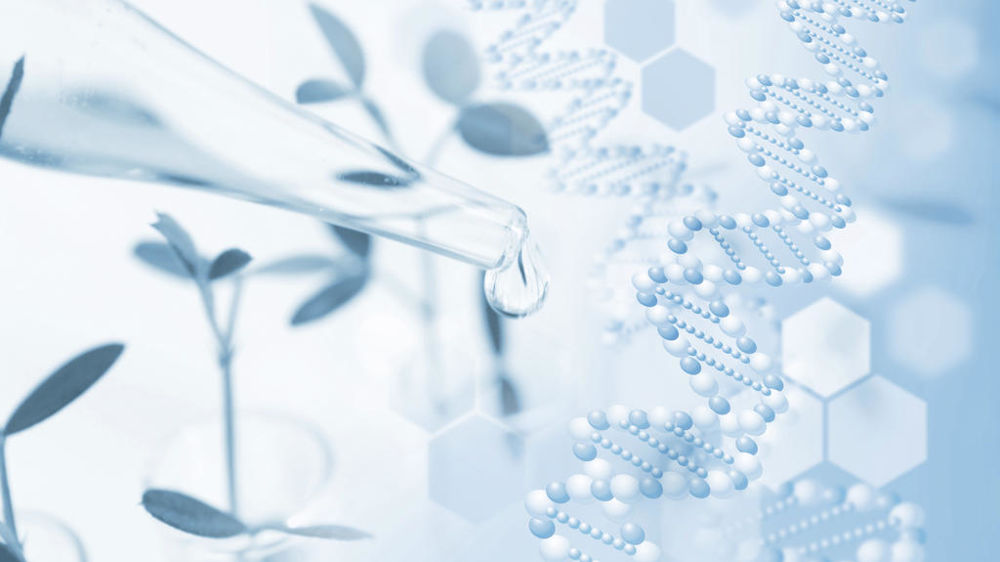Recherche variétale en laboratoire